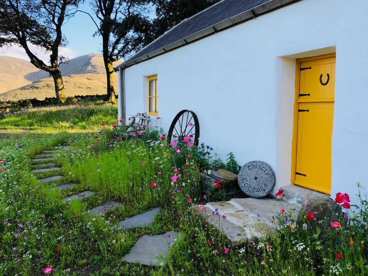 Thistle Thatch Cottage And Hot Tub - Mourne Mountains Newcastle  Dış mekan fotoğraf