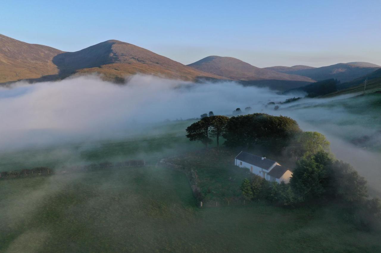 Thistle Thatch Cottage And Hot Tub - Mourne Mountains Newcastle  Dış mekan fotoğraf